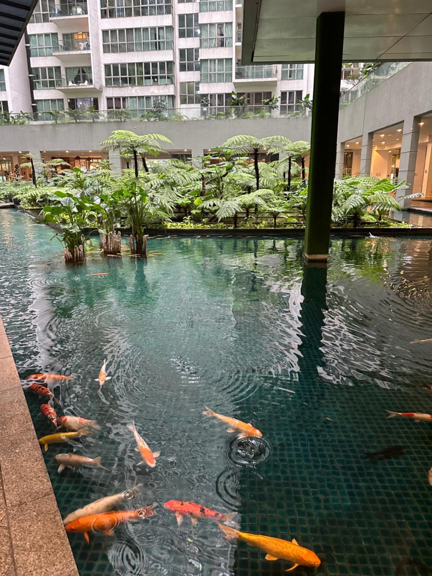 Modern Bauhaus Studio At Regalia Klcc Infinity Pool 쿠알라룸푸르 외부 사진